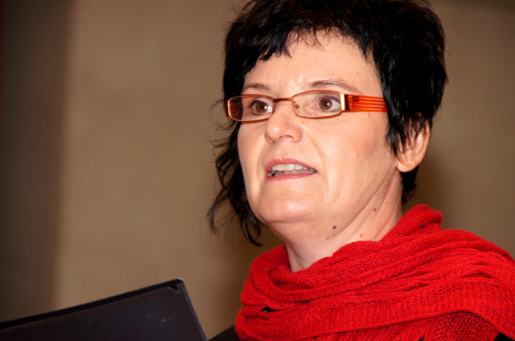 DSC08373_JPG-1351339135