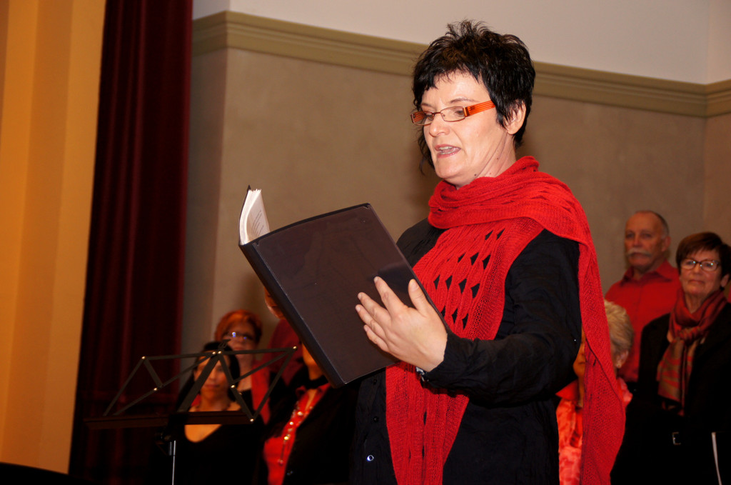 DSC08374_JPG-1351339145