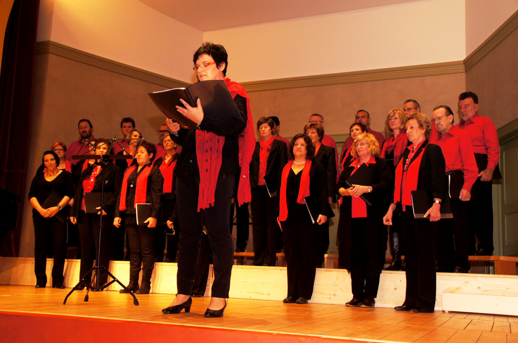 DSC08378_JPG-1351339153