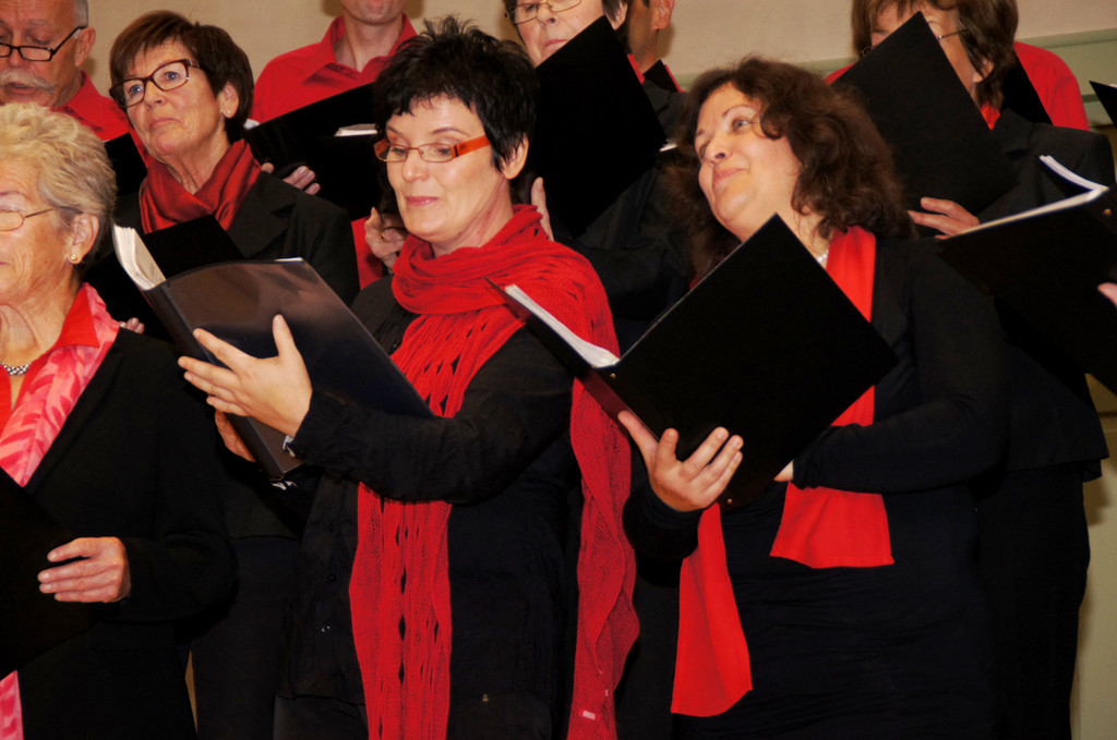 DSC08380_JPG-1351339169