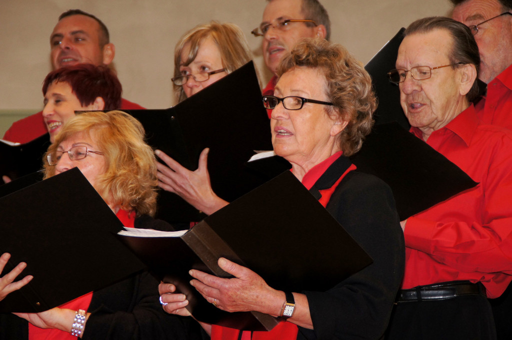 DSC08381_JPG-1351339182