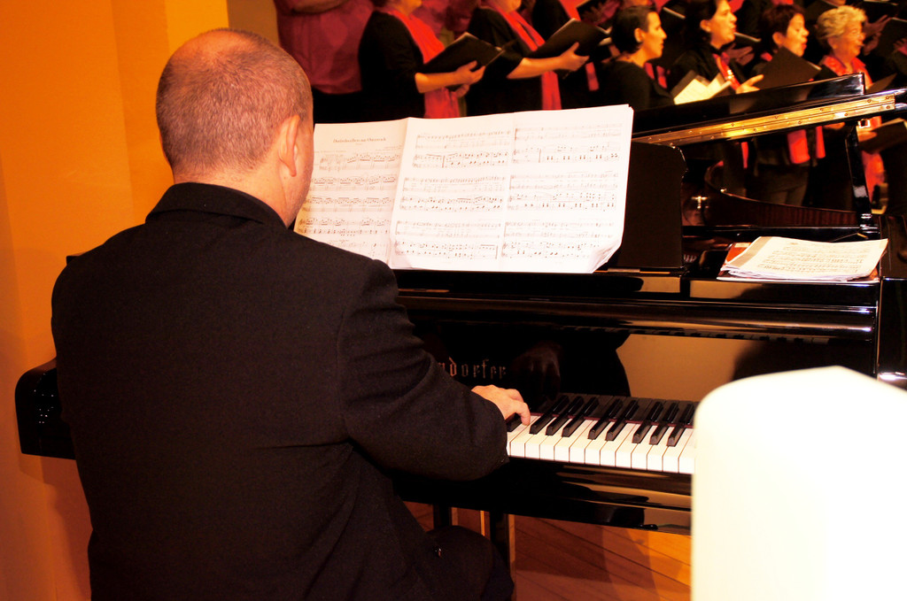 DSC08384_JPG-1351339240