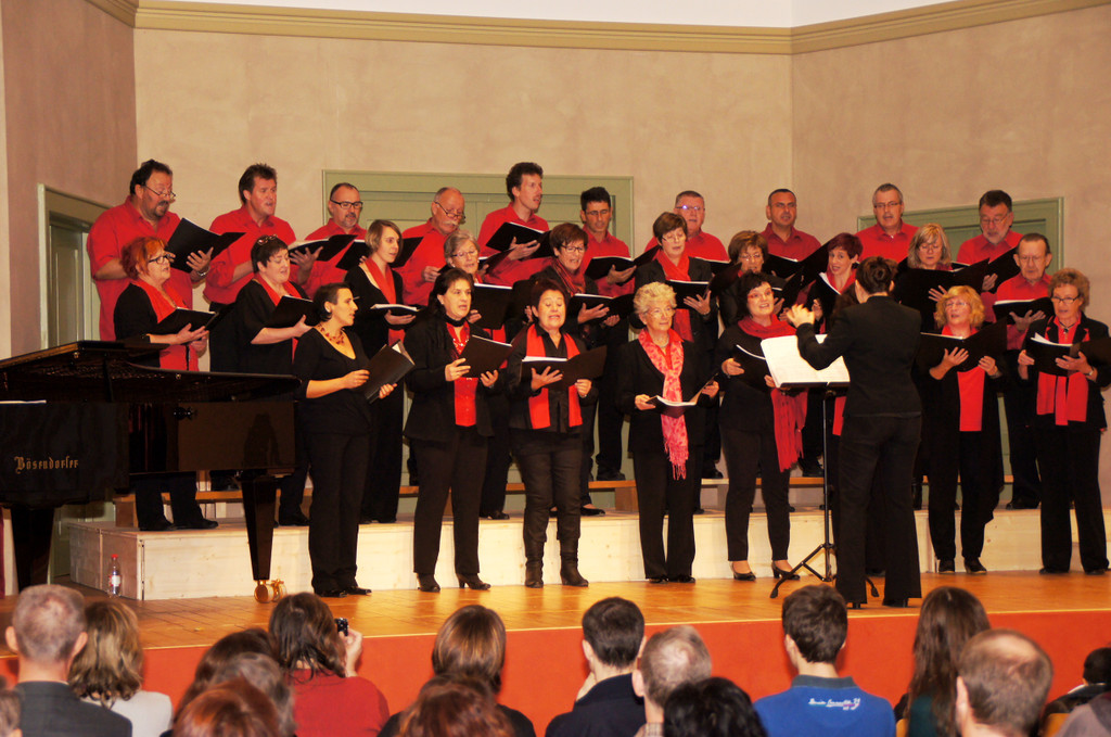 DSC08389_JPG-1351339273