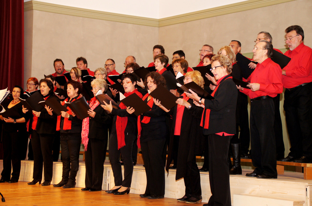 DSC08394_JPG-1351339295