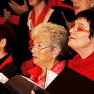 DSC08398_JPG-1351339323