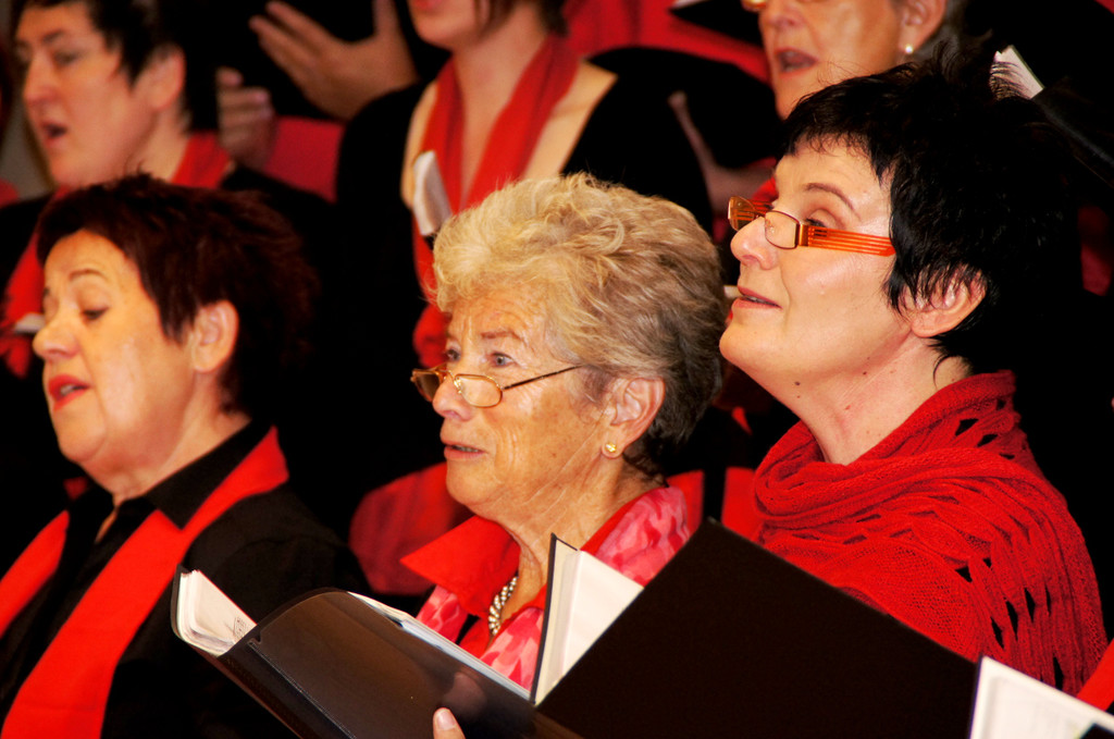 DSC08398_JPG-1351339323