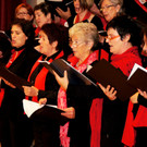 DSC08401_JPG-1351339351