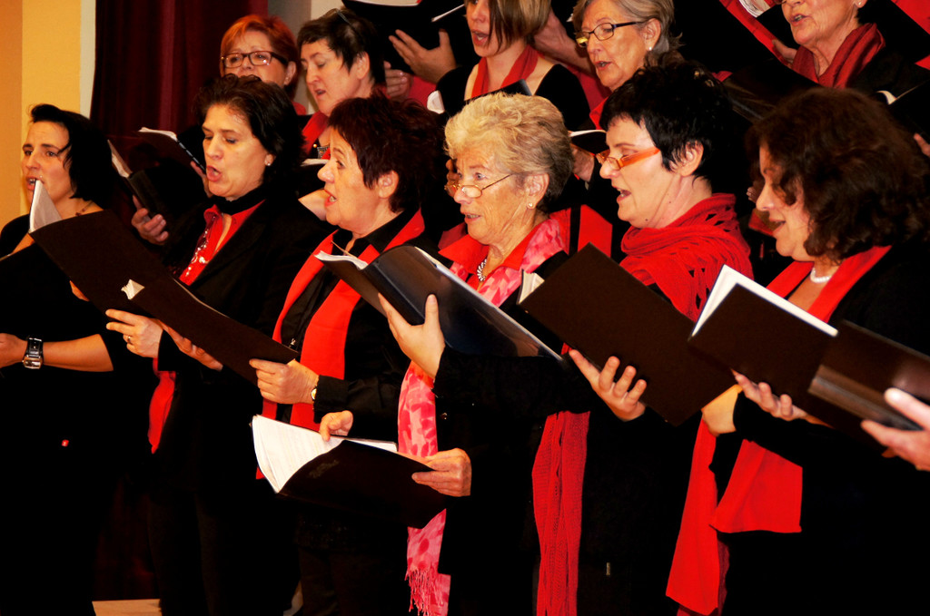 DSC08401_JPG-1351339351