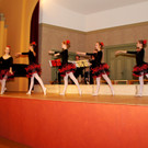 DSC08405_JPG-1351339378