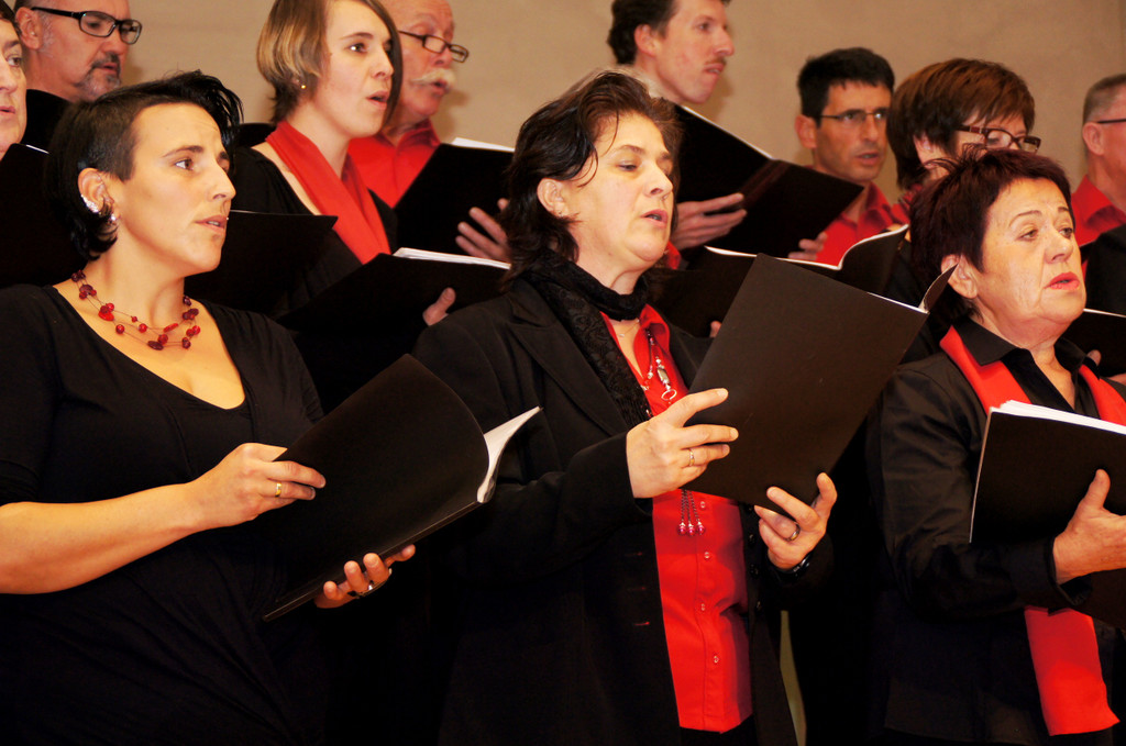 DSC08422_JPG-1351339459