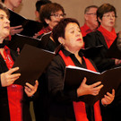 DSC08423_JPG-1351339475