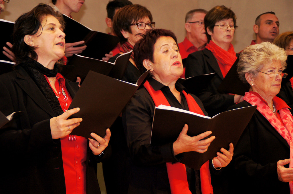 DSC08423_JPG-1351339475