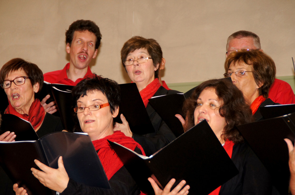 DSC08431_JPG-1351339499