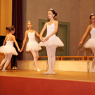 DSC08437_JPG-1351339526