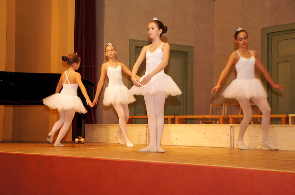 DSC08437_JPG-1351339526