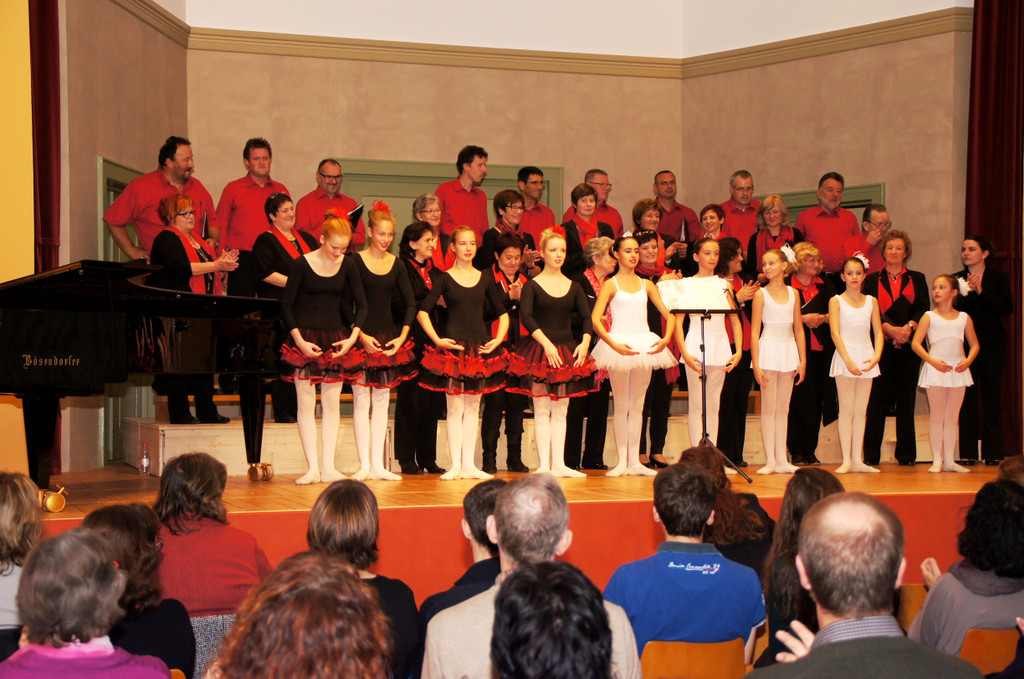 DSC08446_JPG-1351339614