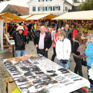 Fu__ach Markt 26-10-2012 281_jpg-1351341264
