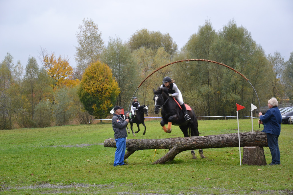 DSC_0239_JPG-1351342884