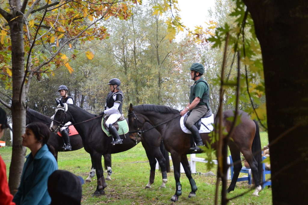 Reiterfest in Klaus_VHotz _20__JPG-1351342980