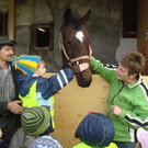 DSC09744_JPG-1351343000