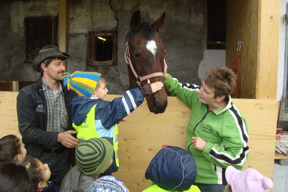 DSC09744_JPG-1351343000