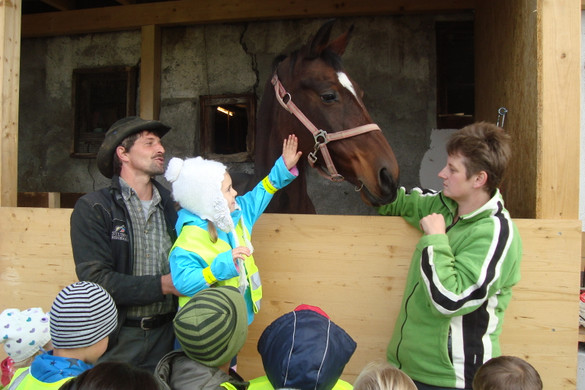 DSC09756_JPG-1351343093