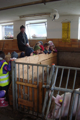 DSC09768_JPG-1351343185