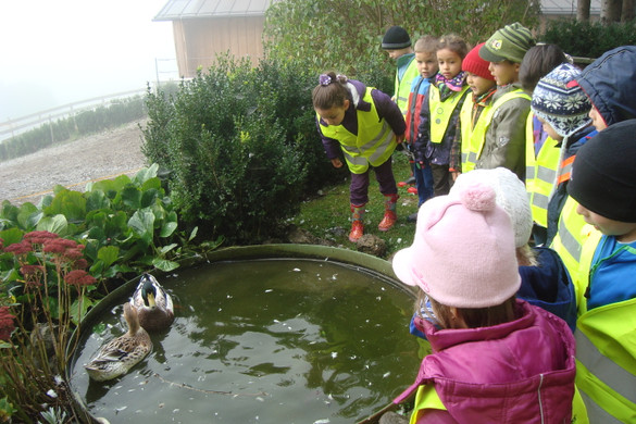 DSC09776_JPG-1351343276