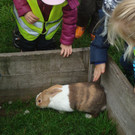 DSC09783_JPG-1351343369