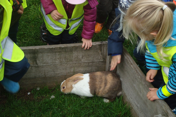 DSC09783_JPG-1351343369