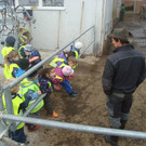 DSC09796_JPG-1351343721