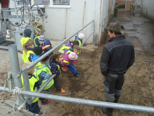 DSC09796_JPG-1351343721