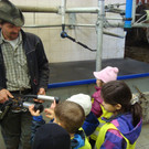 DSC09803_JPG-1351343807