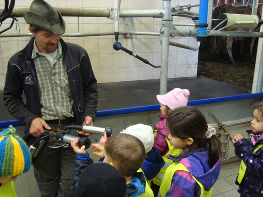 DSC09803_JPG-1351343807