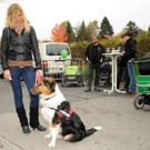 Fu__ach Markt 26-10-2012 304_jpg-1351344375.jpg