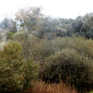 11_JPG-1351360490
