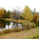 14_JPG-1351360542