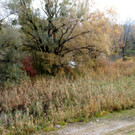 15_JPG-1351360571