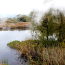 16_JPG-1351360584