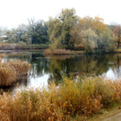 17_JPG-1351360606