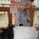 DSC_0033a.jpg