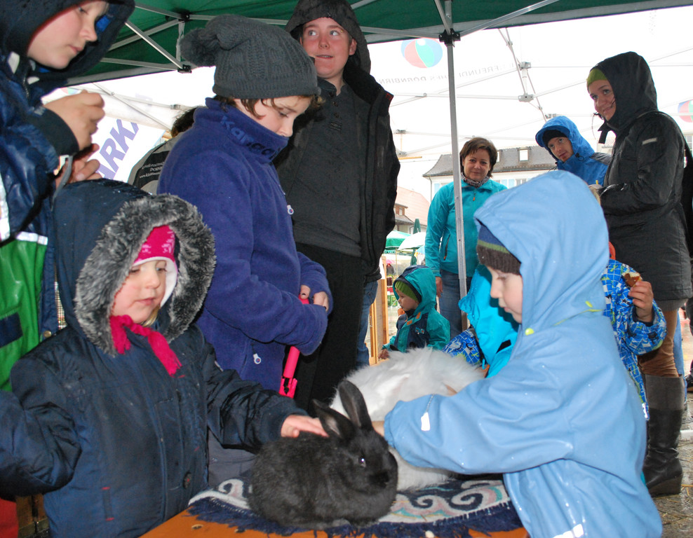 DSC_0044a.jpg