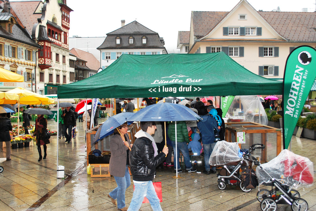 DSC_0051a.jpg