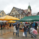 DSC_0053a.jpg