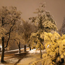 normal_28102012fmt_ersterschnee_fm_04.JPG
