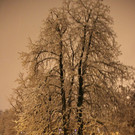 normal_28102012fmt_ersterschnee_fm_06.JPG