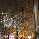 normal_28102012fmt_ersterschnee_fm_08.JPG