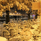 normal_28102012fmt_ersterschnee_fm_10.JPG