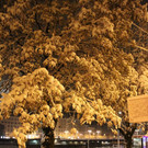 normal_28102012fmt_ersterschnee_fm_11.JPG