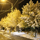 normal_28102012fmt_ersterschnee_fm_21.JPG